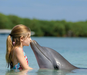 Top  Family Things to Do in Key West 
