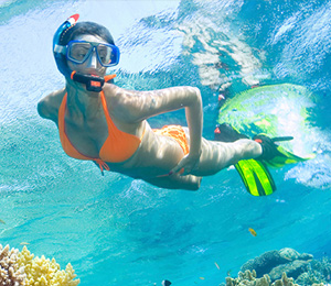 The unique Key West snorkeling experience