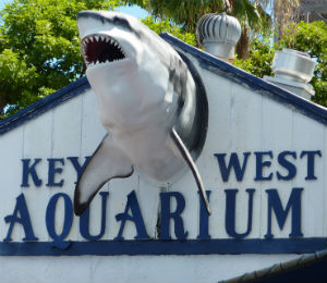 The Key West Aquarium