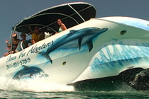 Key West Glassbottom Boat Tours