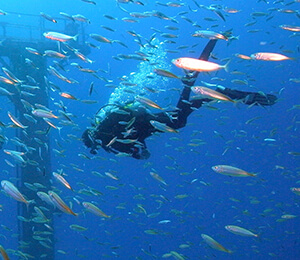 Key West Scuba Diving