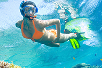 Key West Snorkeling Tours