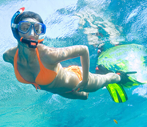 Key West Snorkeling Tours